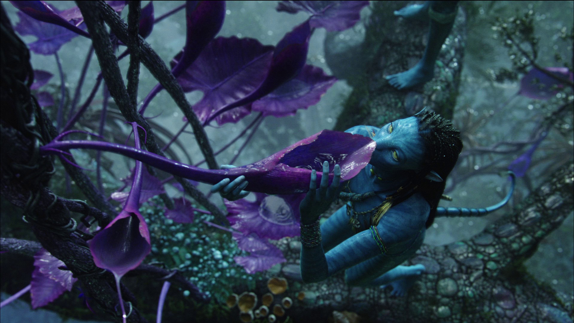 Photo from Avatar Film